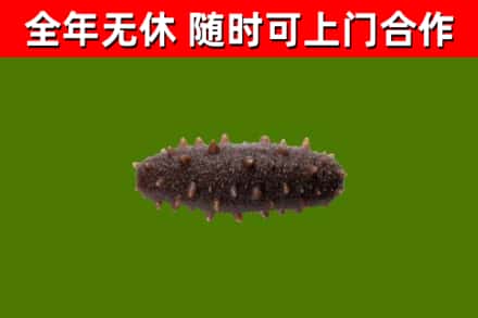 潼南区烟酒回收干海参.jpg